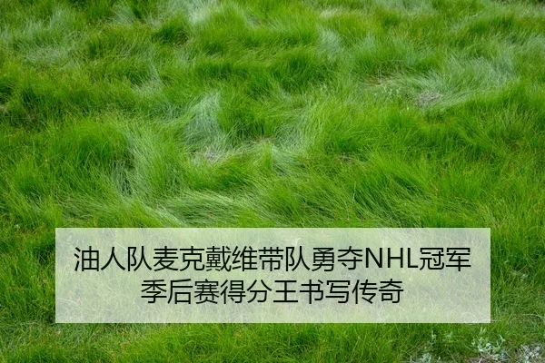 you-ren-dui-mai-ke-dai-wei-dai-dui-yong-duo-guan-jun-ji-hou-sai-de-fen-wang-shu-xie-chuan-qi-2-660.jpg